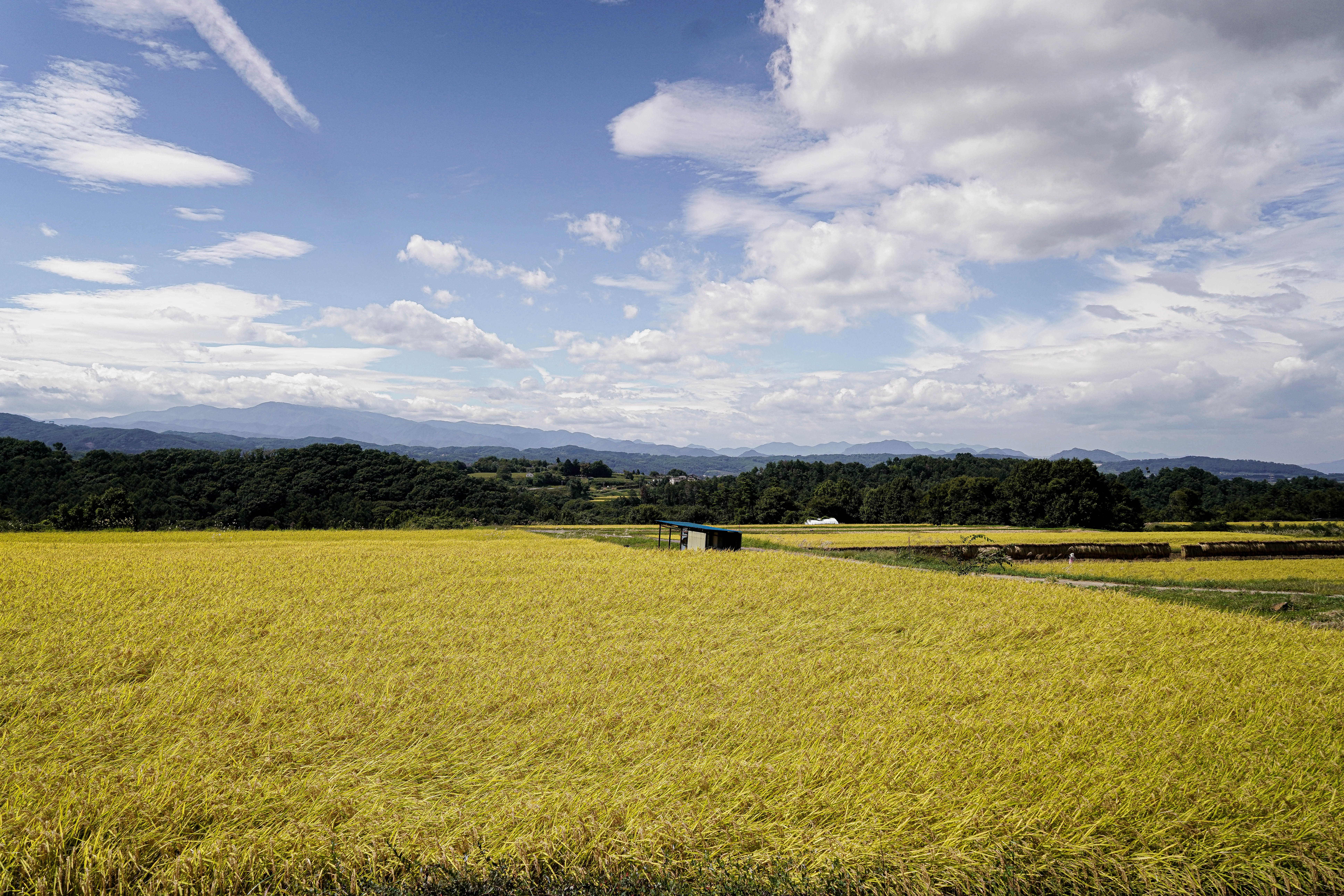 004_ただ、そこにある風景